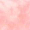 PINK DAHLIA-14CT